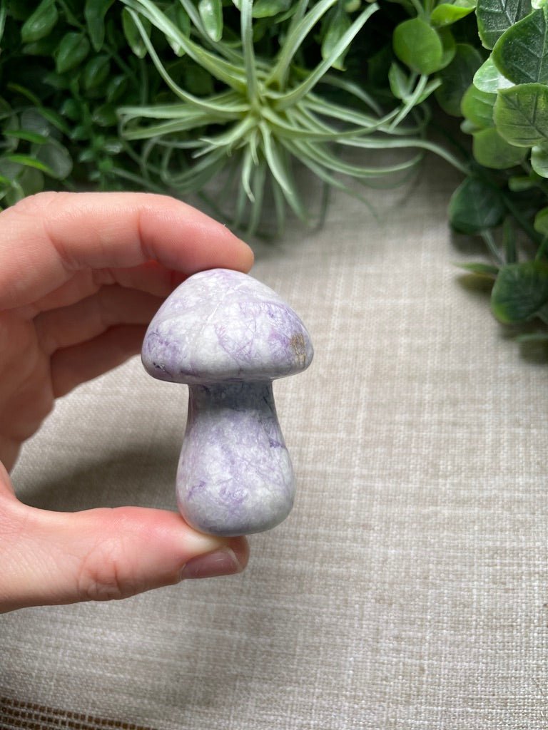 Crystal Mushroom | Copper Ashes