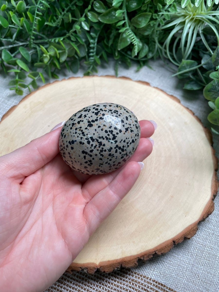 Dalmatian Jasper Palm Stone | Copper Ashes