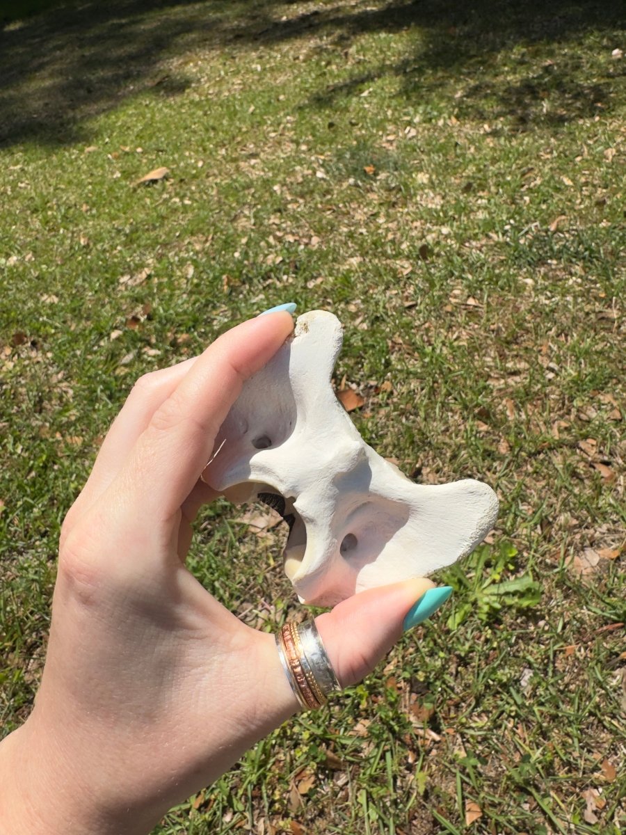 Decorated Bone | Copper Ashes