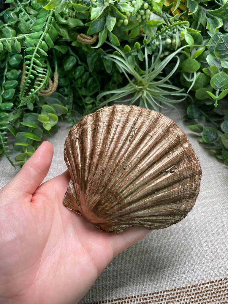 Decoupage Shell | Copper Ashes