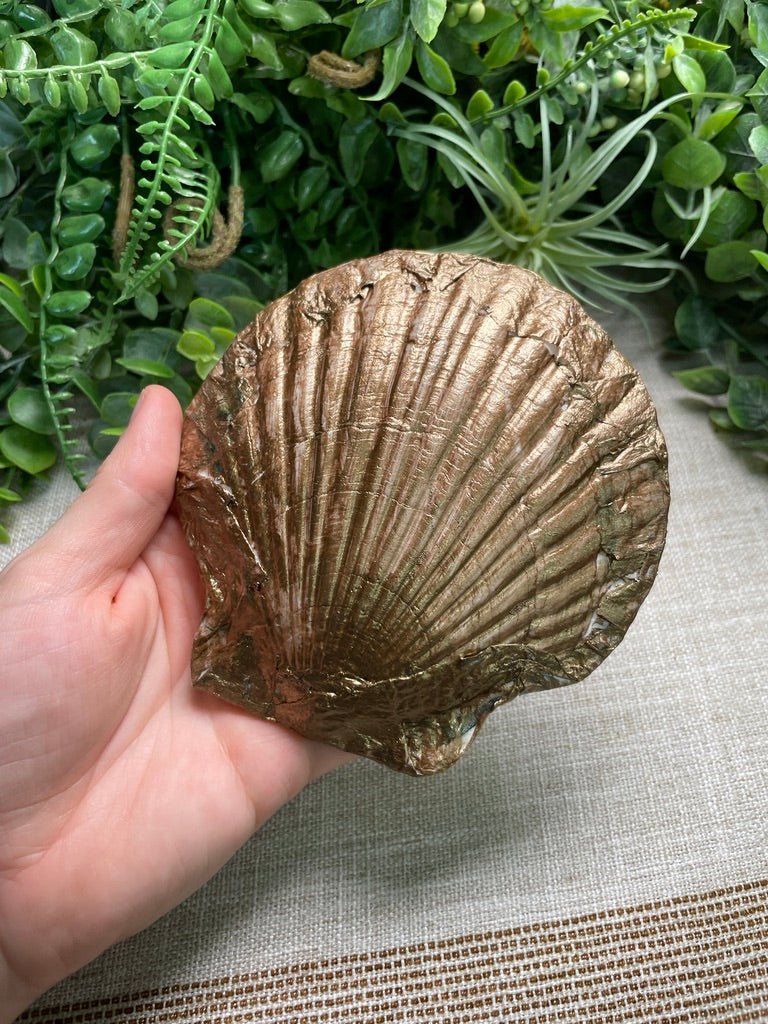 Decoupage Shell | Copper Ashes
