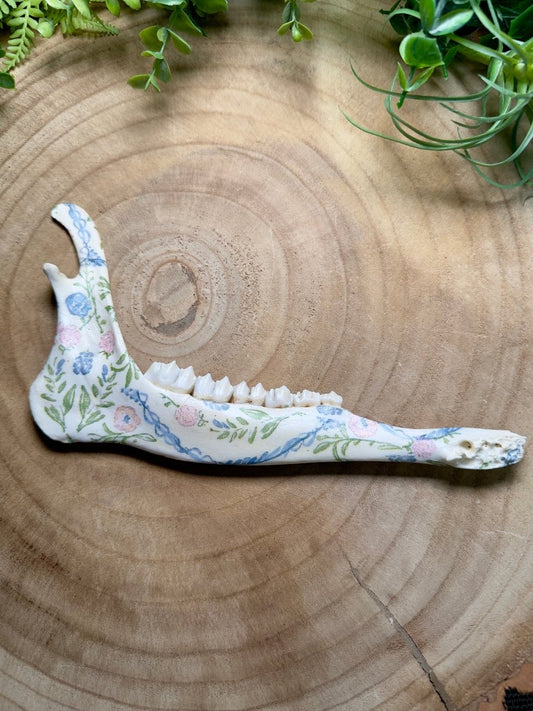 Deer Jawbone- Hand Decorated | Copper Ashes