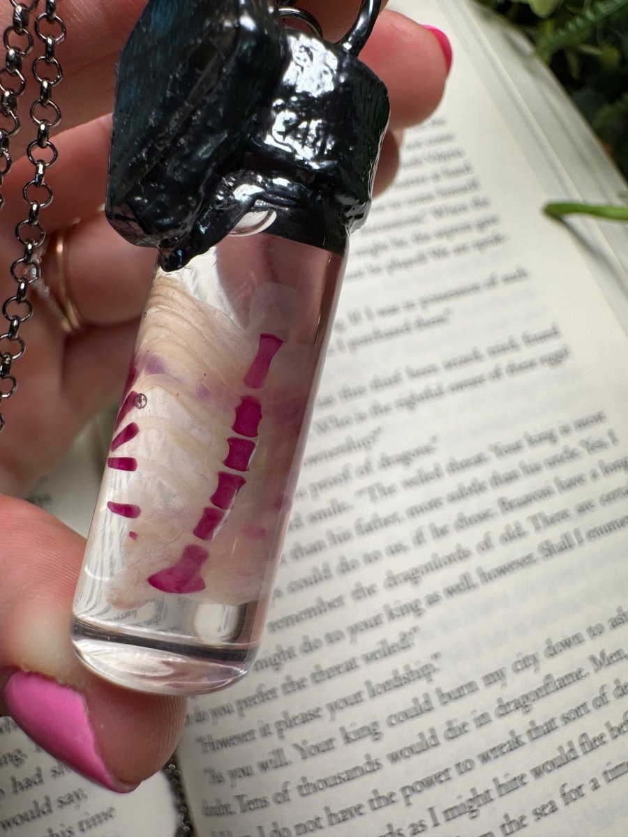 Diaphonized Rat Ribcage and Labradorite Coffin Oddity Necklace | Copper Ashes