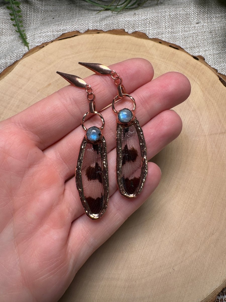 Dragonfly Wing and Moonstone Earrings | Copper Ashes