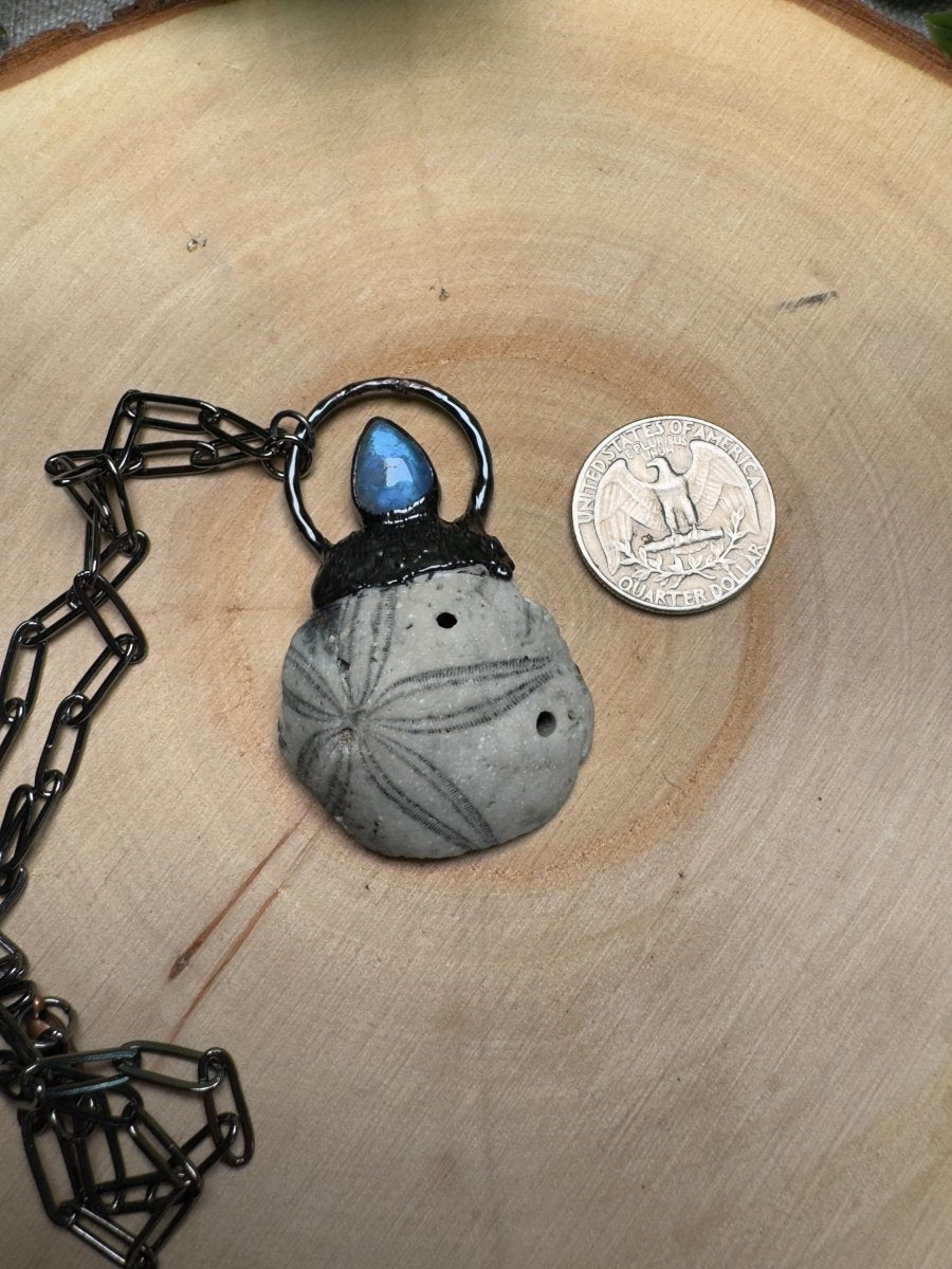 Draven - Fossilized Sea Biscuit and Moonstone Necklace | Copper Ashes