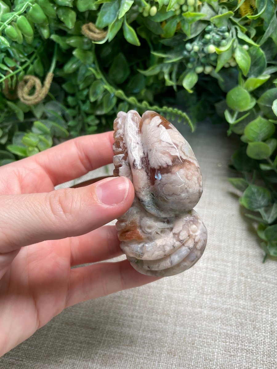 Flower Agate Cuttlefish | Copper Ashes