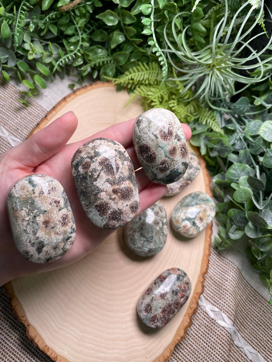 Flower Jasper Palm Stone | Copper Ashes
