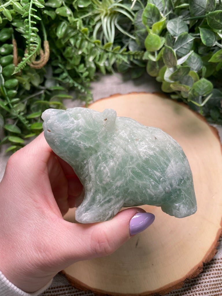 Fluorite Bear | Copper Ashes