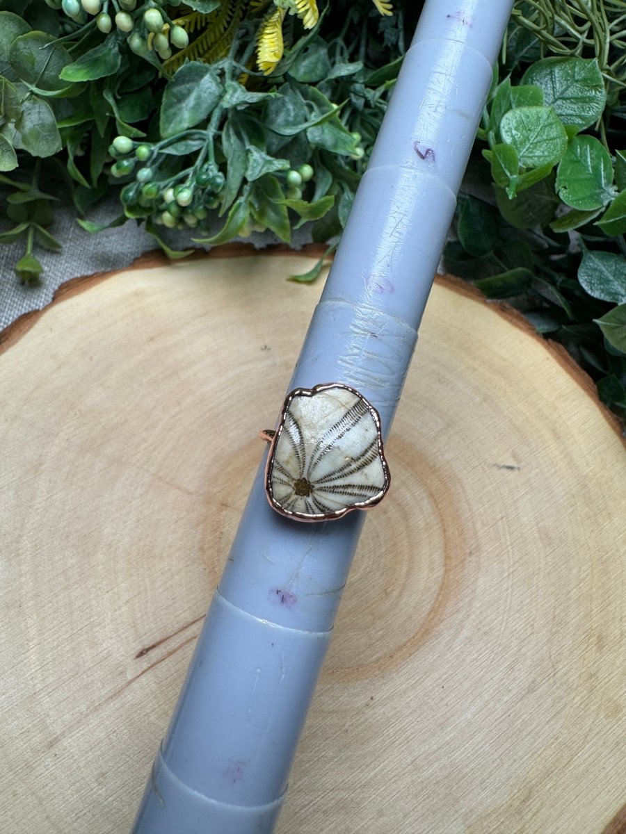 Fossilized Sea Biscuit Ring Size 7 | Copper Ashes