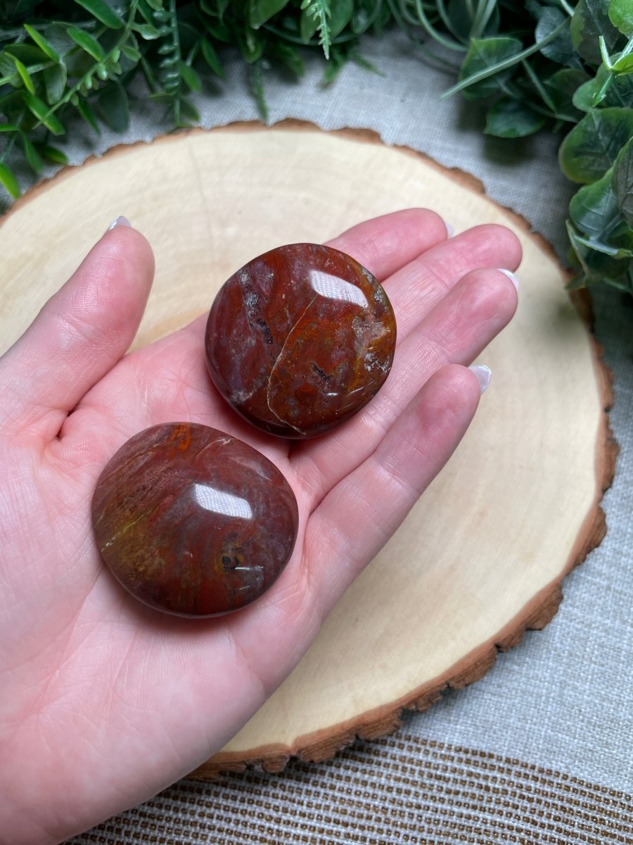 Fossilized Wood Palm Stone | Copper Ashes