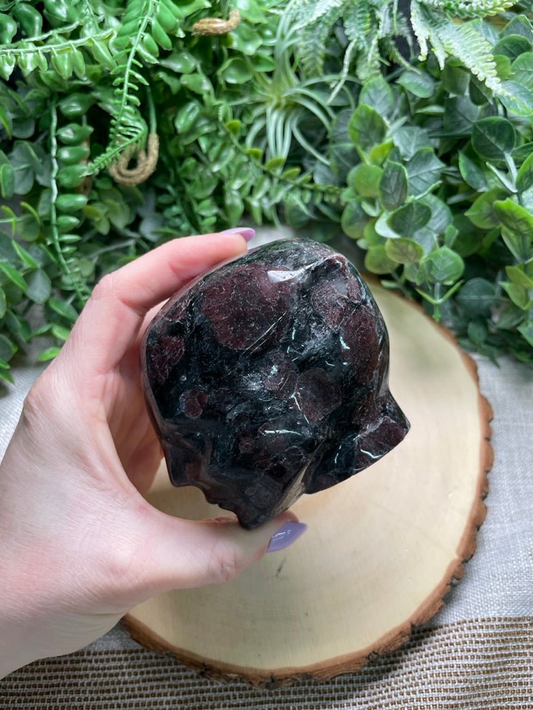 Garnet in Astrophyllite Fae/ Alien Face | Copper Ashes