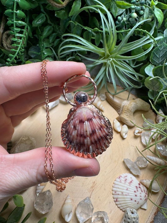 Iolite and Scallop Shell Necklace | Copper Ashes
