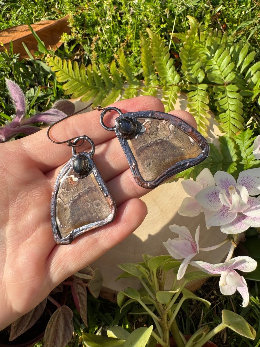 Labradorite and Butterfly Wing Earrings | Copper Ashes