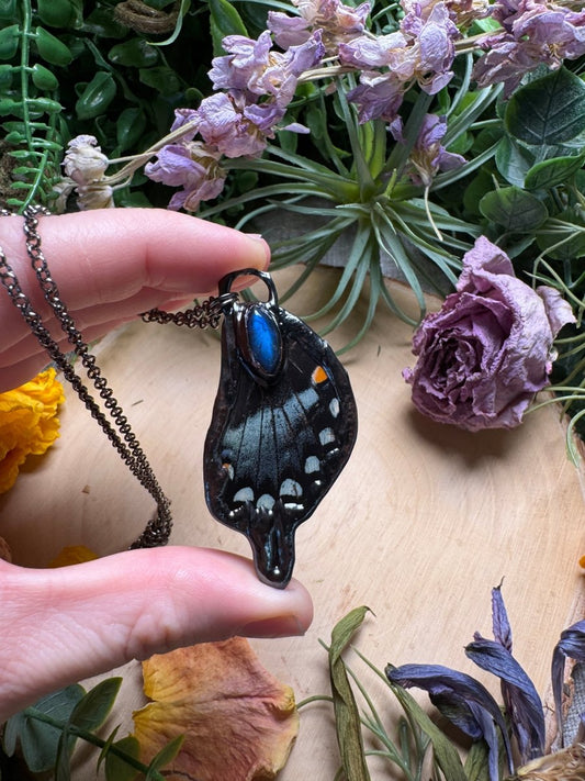 Labradorite and Butterfly Wing Necklace | Copper Ashes