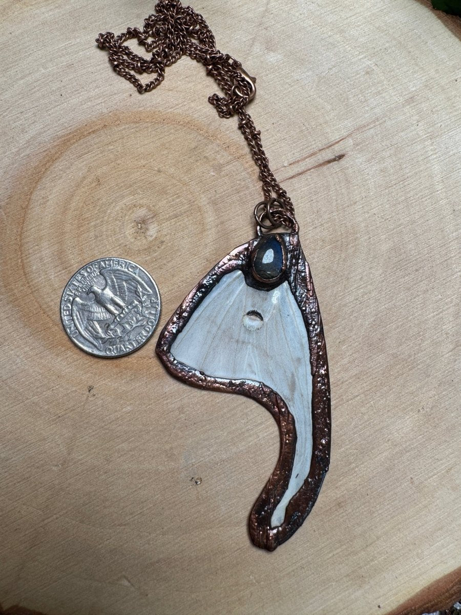 Luna Moth Wing and Labradorite Necklace | Copper Ashes