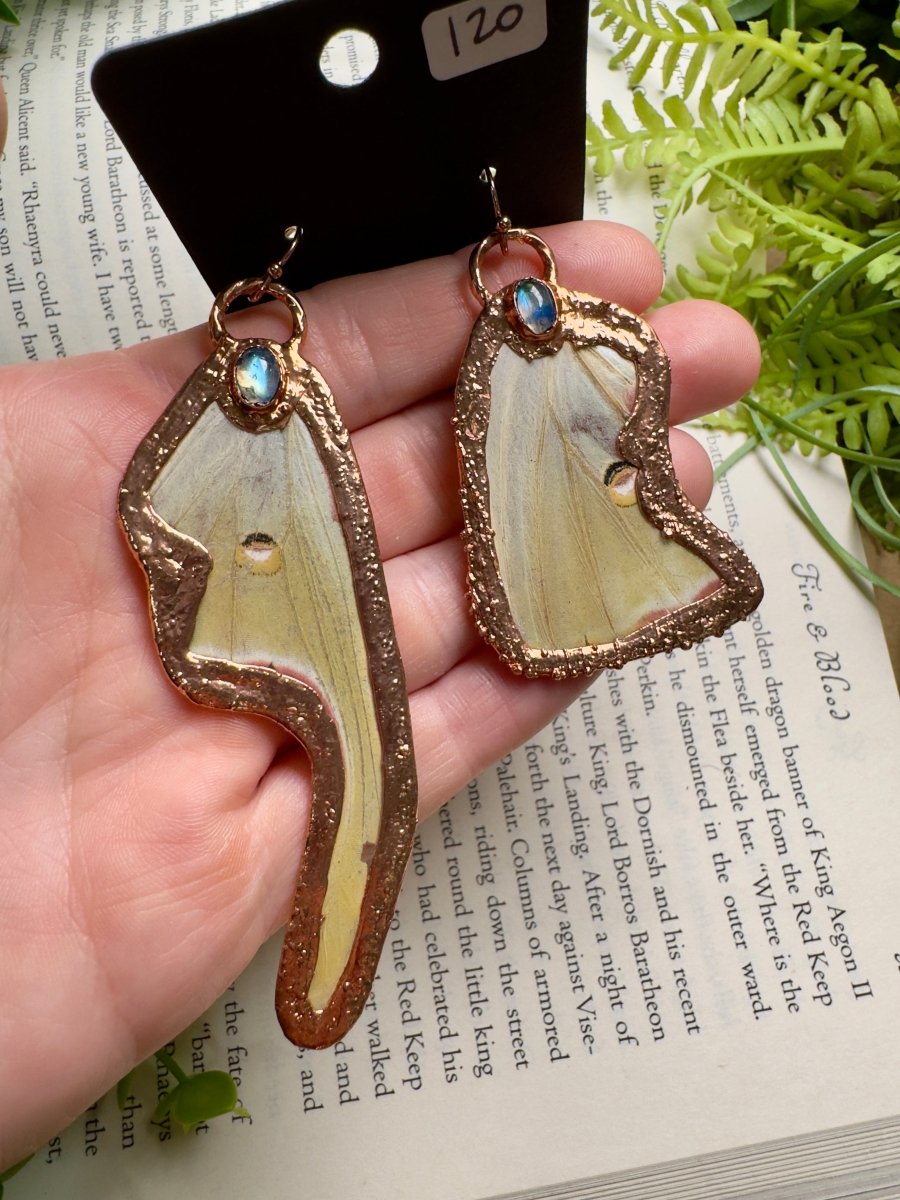 Luna Moth Wing and Moonstone Earrings | Copper Ashes