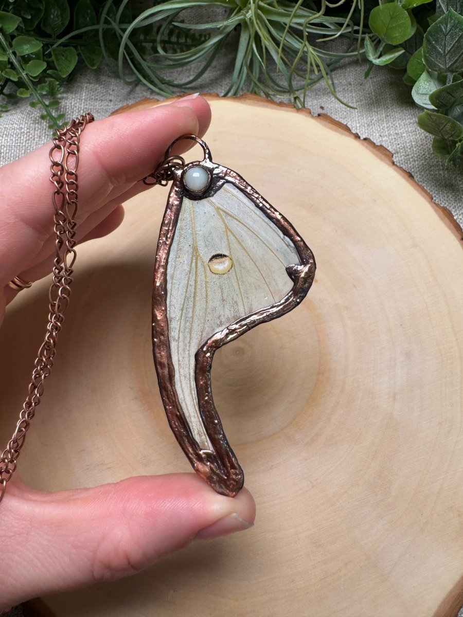 Luna Moth Wing and Shell Necklace | Copper Ashes