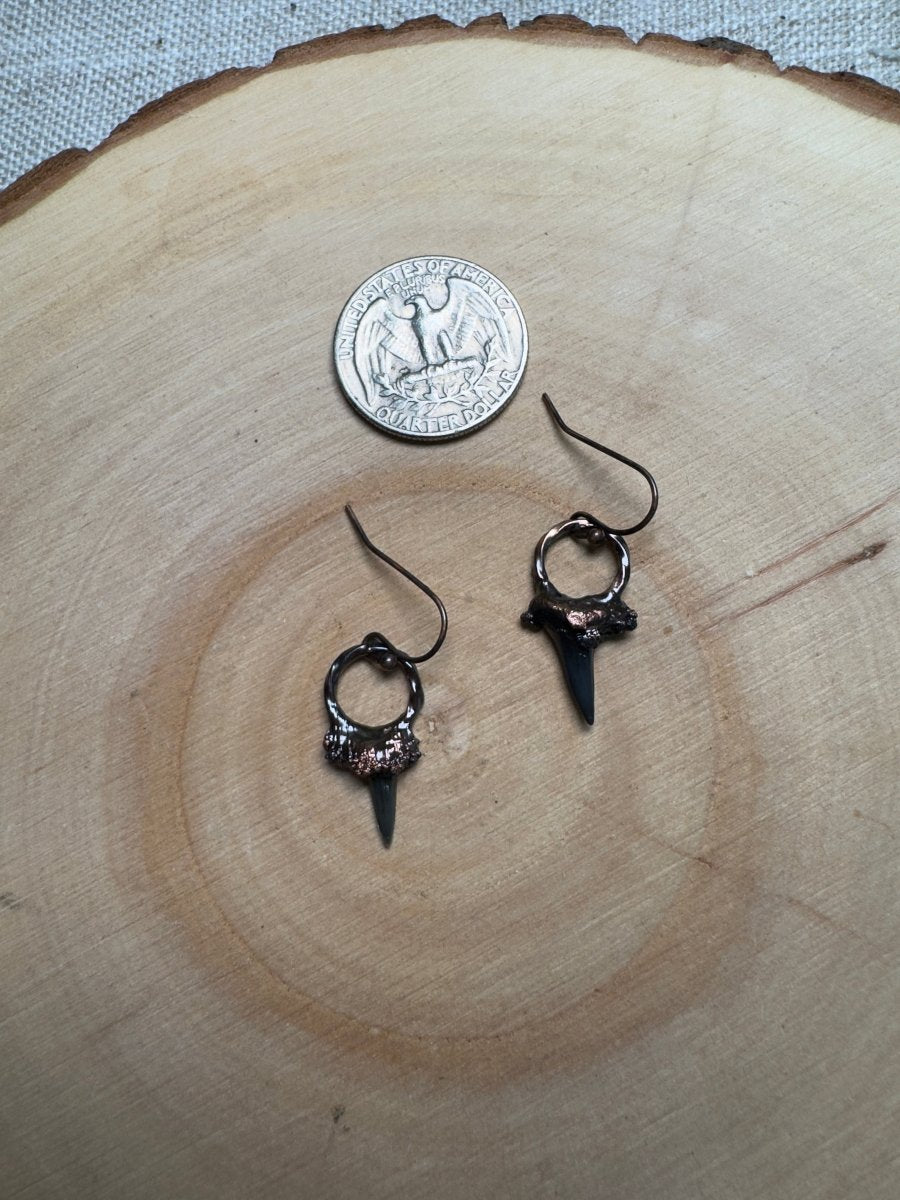 Malphas - Shark Tooth Earrings | Copper Ashes