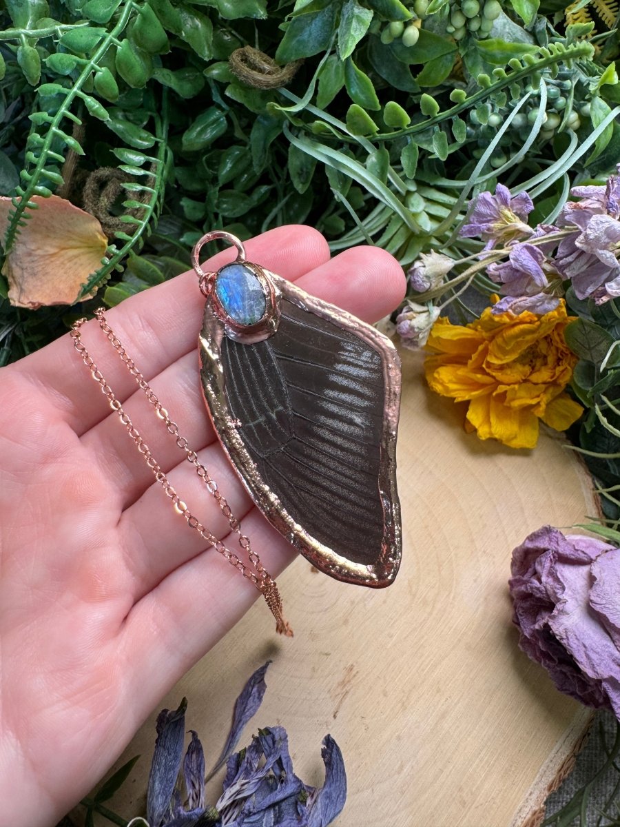 Moonstone and Butterfly Wing Necklace | Copper Ashes