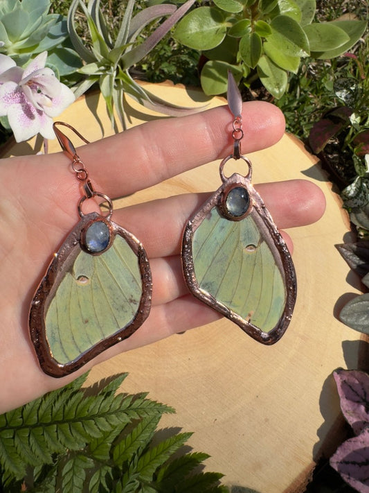 Moonstone and Luna Moth Wing Earrings | Copper Ashes