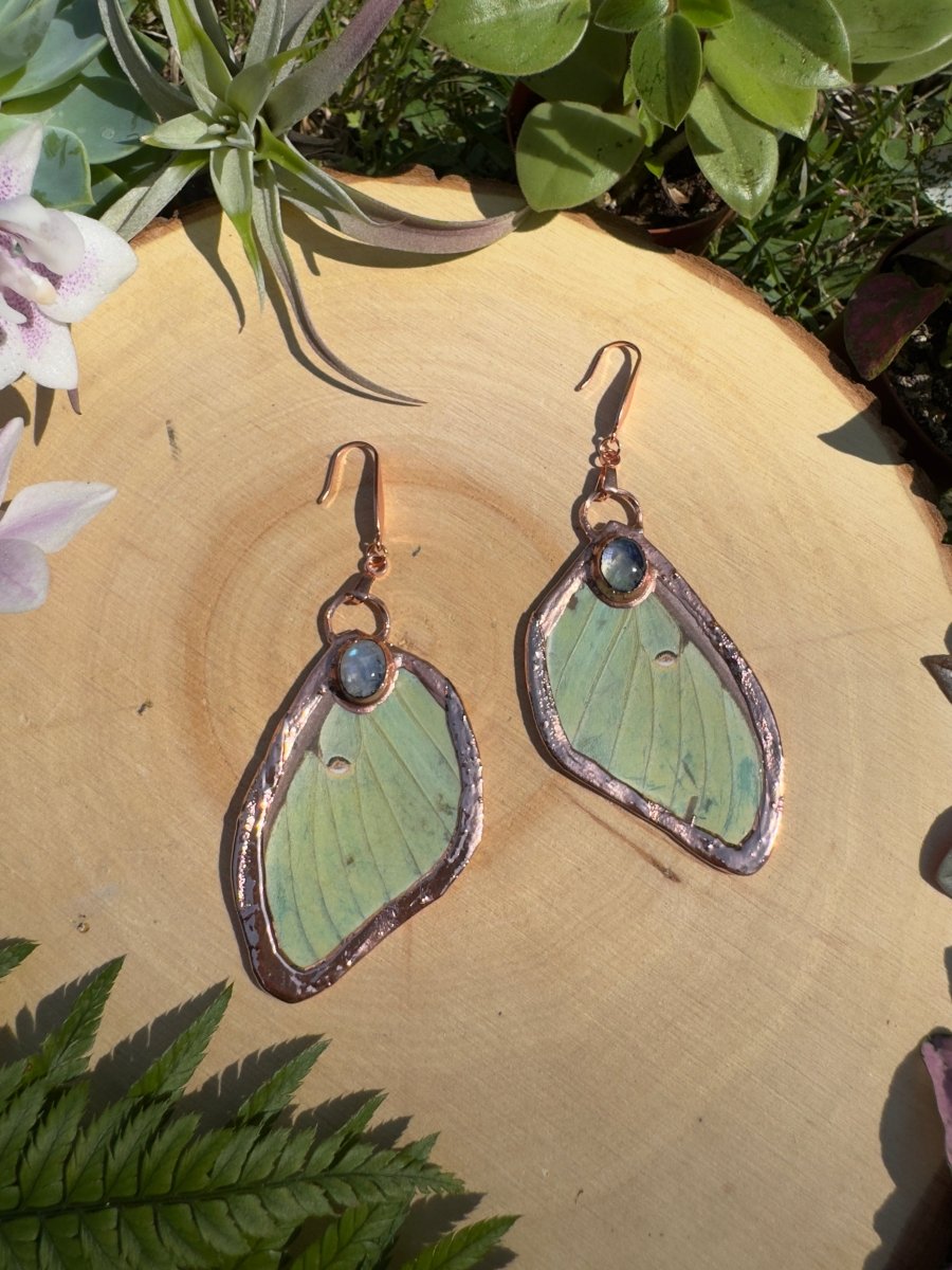 Moonstone and Luna Moth Wing Earrings | Copper Ashes