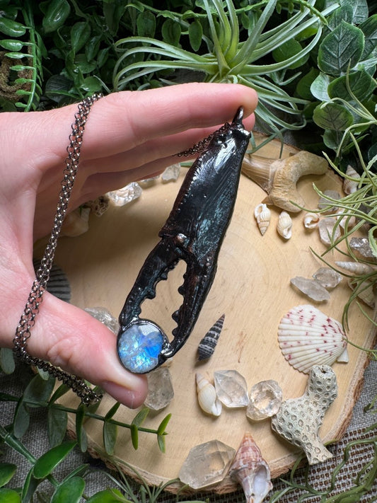 Moonstone Crab Claw Necklace | Copper Ashes