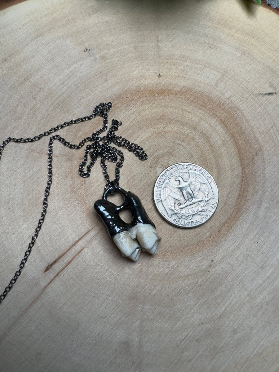 Morwen - Deer Tooth Necklace | Copper Ashes
