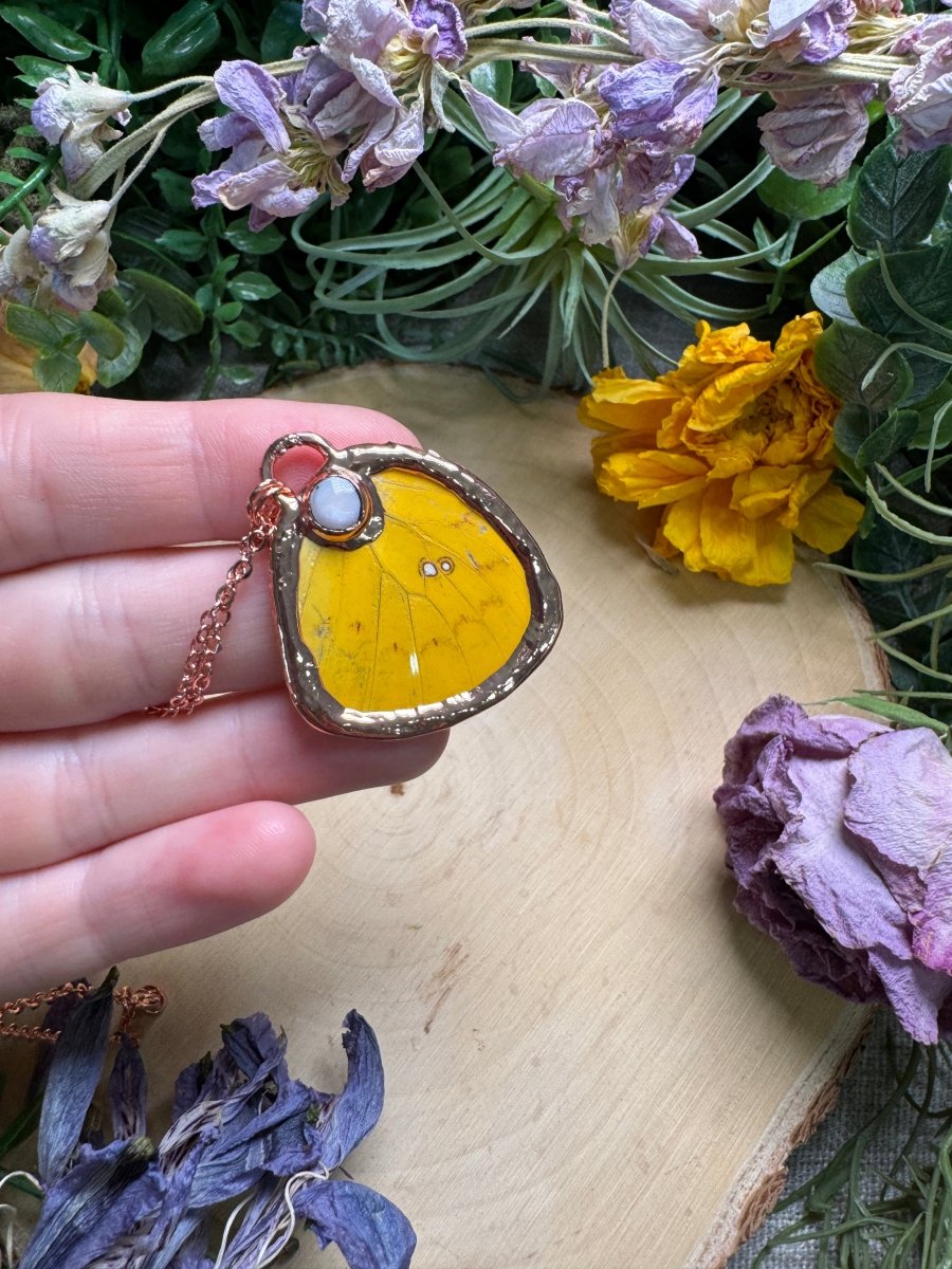 Mother of Pearl Shell and Butterfly Wing Necklace | Copper Ashes