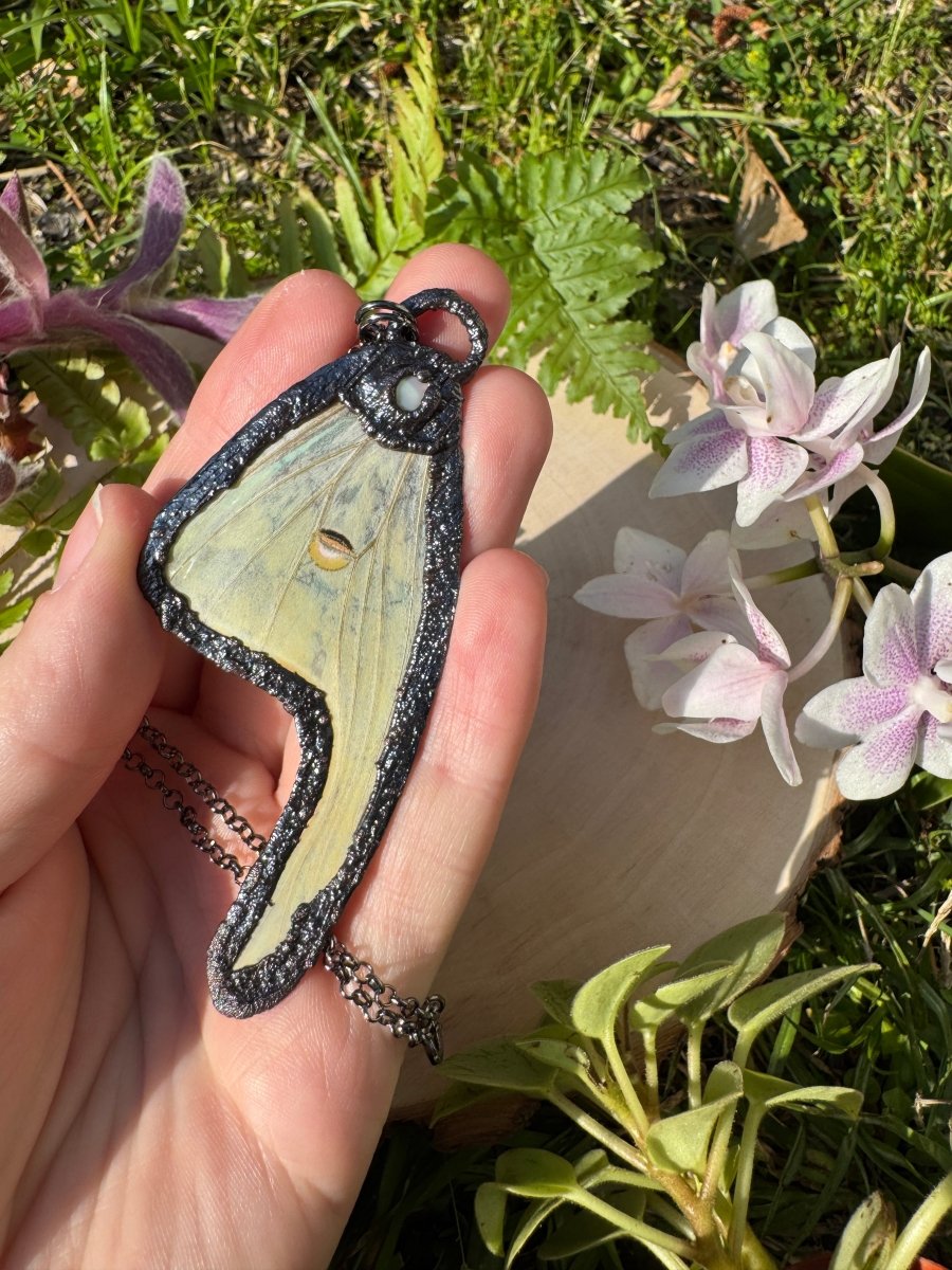 Mother of Pearl Shell and Luna Moth Wing Necklace | Copper Ashes