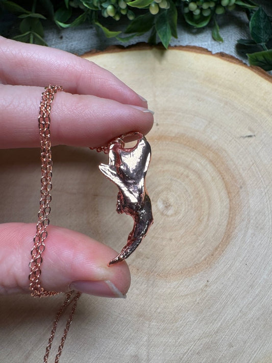 Muskrat Jawbone Necklace | Copper Ashes