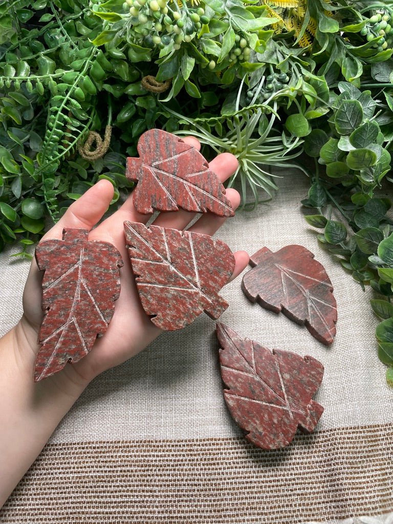 Red Que Sera Leaf | Copper Ashes