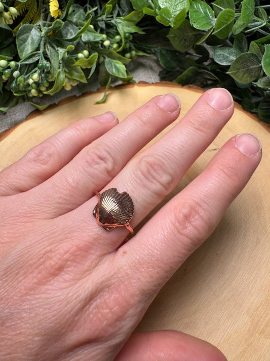 Scallop Shell Ring Size 7 | Copper Ashes