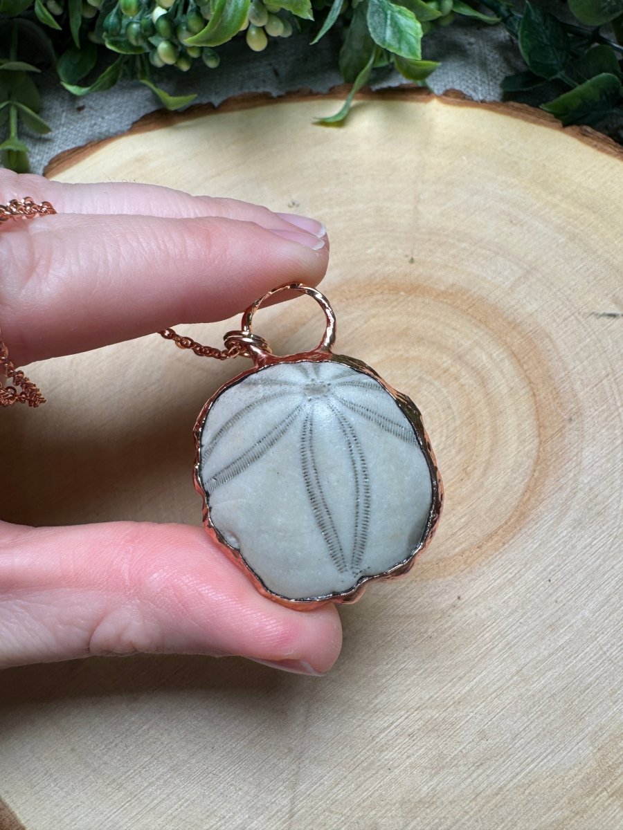 Sea Biscuit Fossil Necklace | Copper Ashes