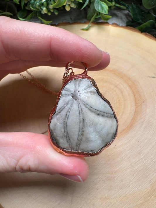 Sea Biscuit Fossil Necklace | Copper Ashes