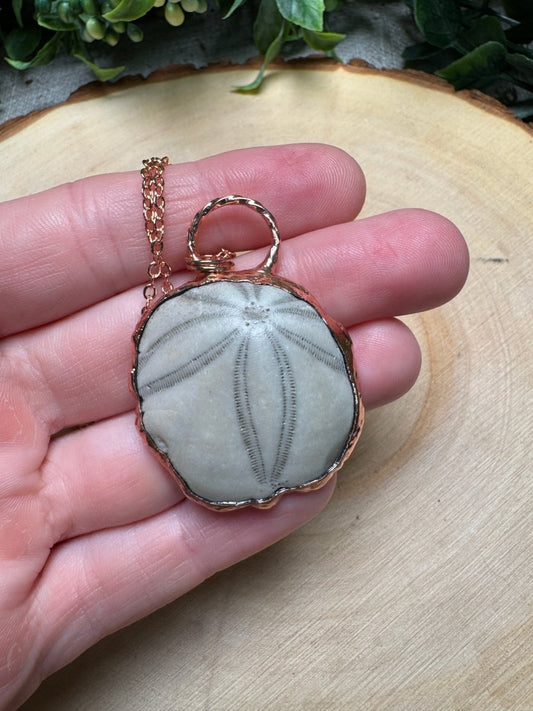 Sea Biscuit Fossil Necklace | Copper Ashes