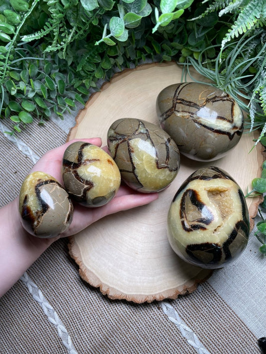 Septarian Egg | Copper Ashes