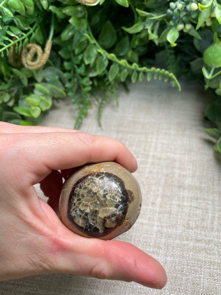 Septarian Egg | Copper Ashes