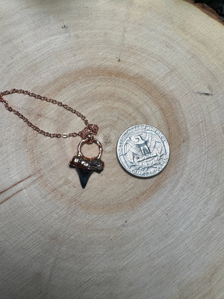 Shark's Tooth Necklace | Copper Ashes