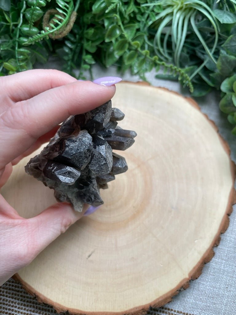 Smoky Quartz Cluster | Copper Ashes