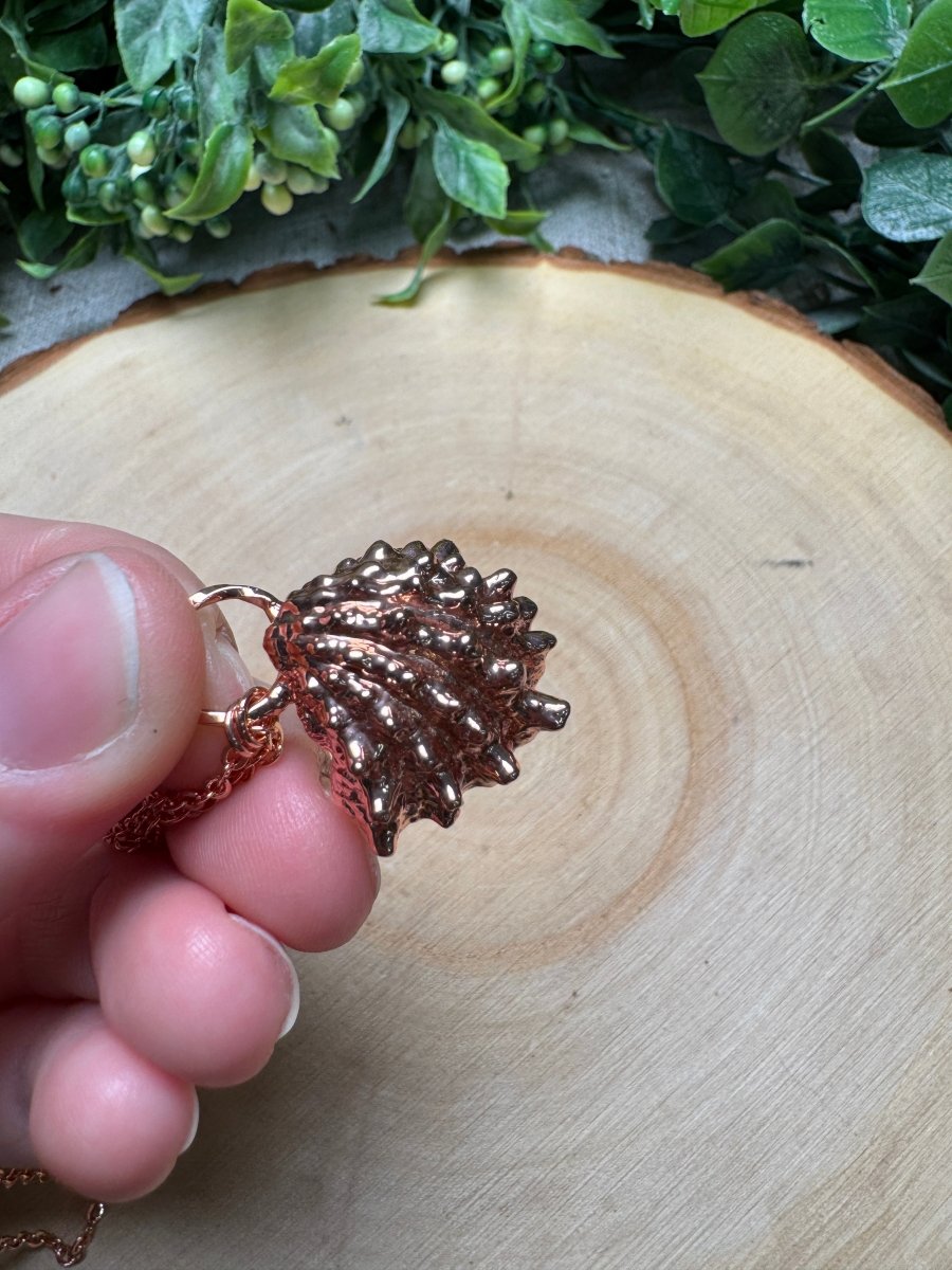 Spiny Jewel Box Shell Necklace | Copper Ashes