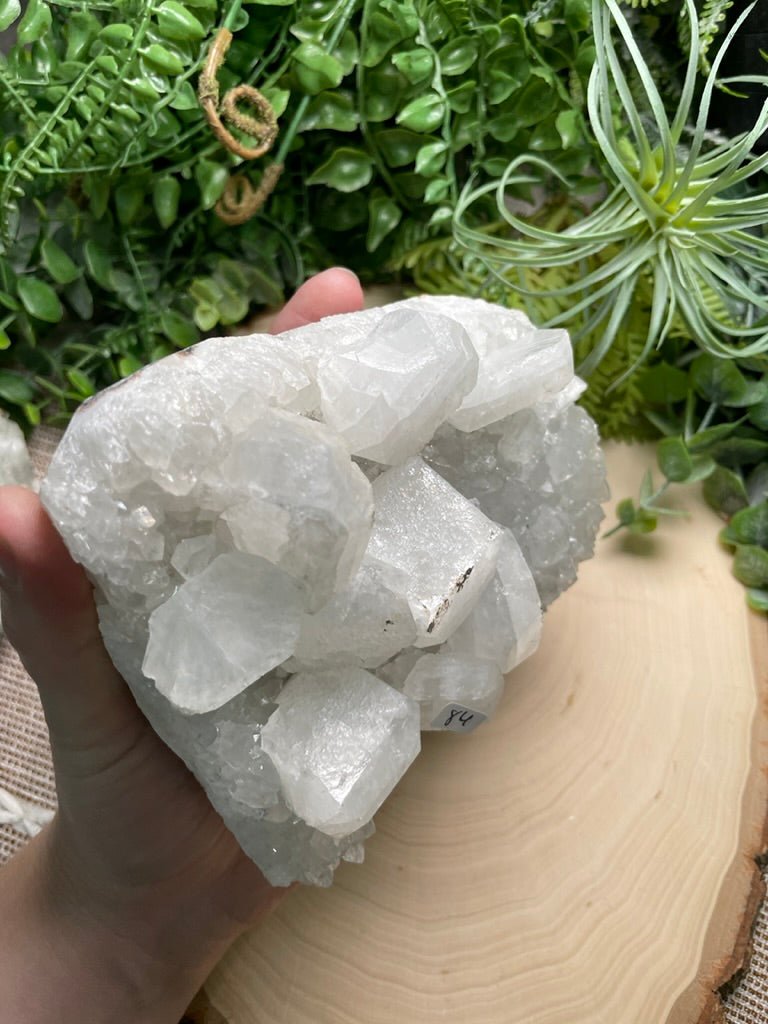 XL Apophyllite Cluster | Copper Ashes