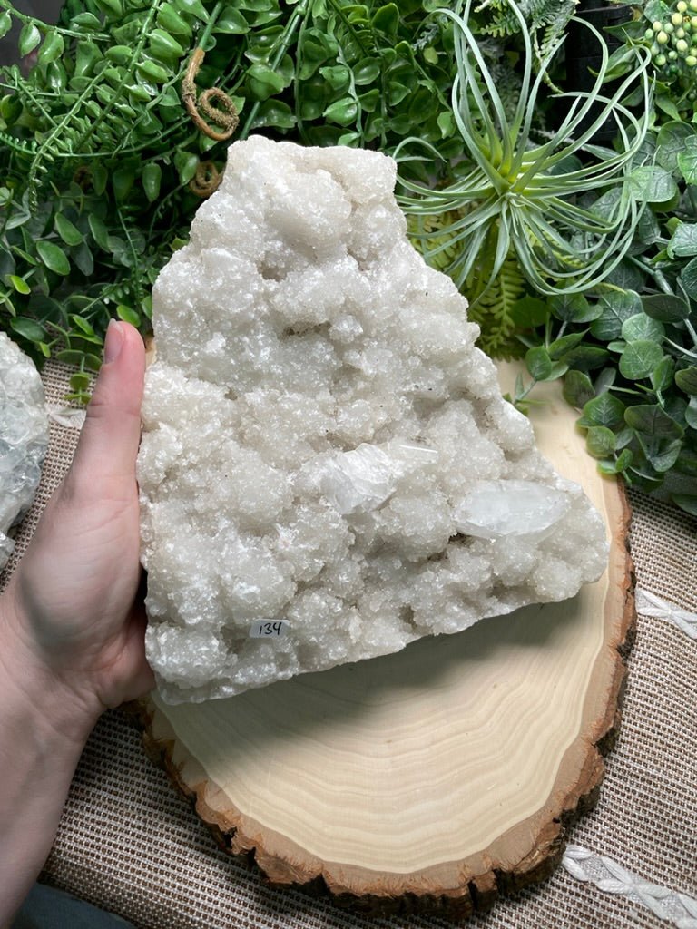 XXL Apophyllite Cluster | Copper Ashes