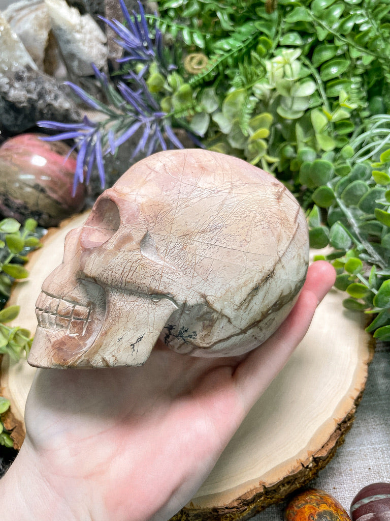 Polychrome Jasper Skull