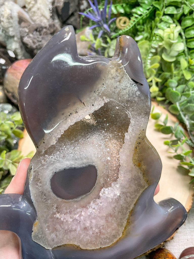 X-Large Druzy Agate Cat