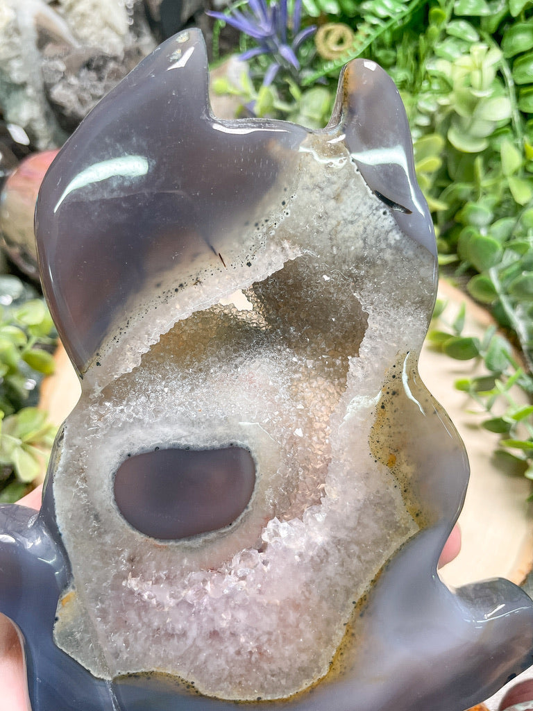 X-Large Druzy Agate Cat