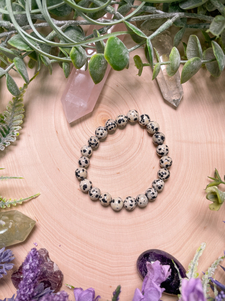 8mm Beaded Dalmatian Jasper Bracelet