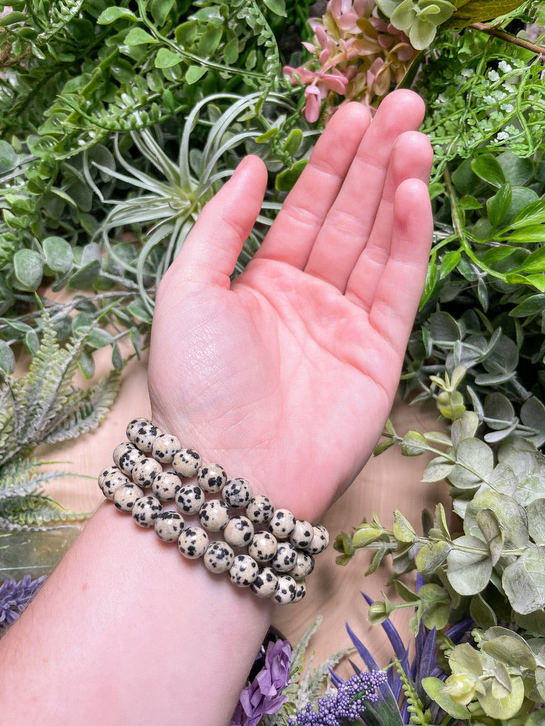 8mm Beaded Dalmatian Jasper Bracelet