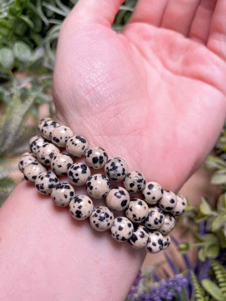 8mm Beaded Dalmatian Jasper Bracelet
