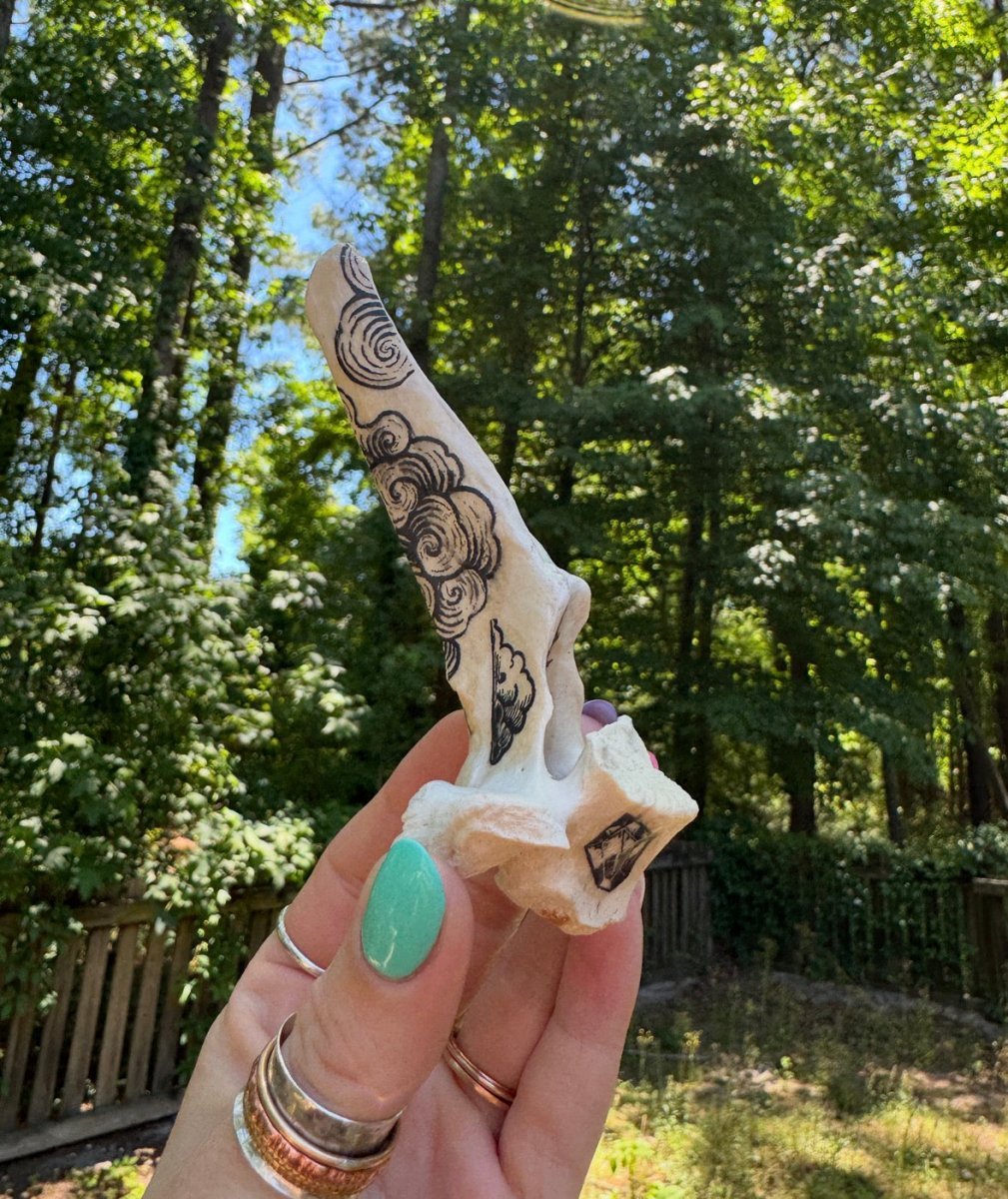 Bone Decor
