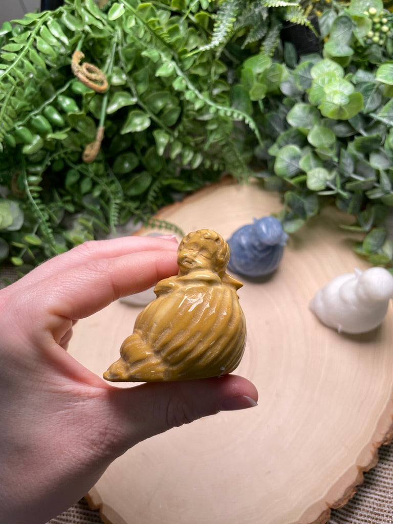 Cherub Angel in a Shell